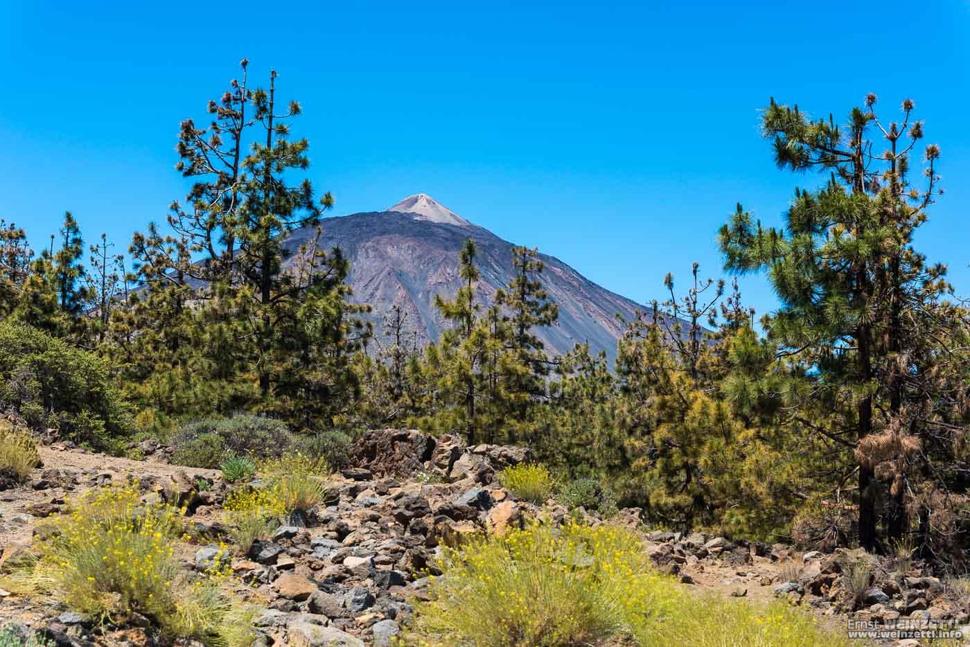 Der Teide.