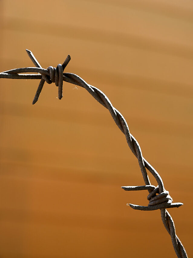 Ein kurzes Stück Stacheldraht