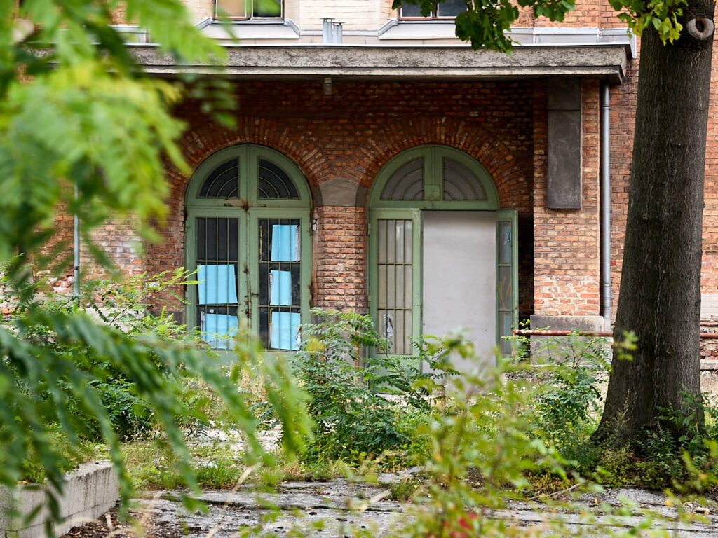 Manche Teile sind von der Natur bereits fast überwuchert und wirken wie verwunschen.