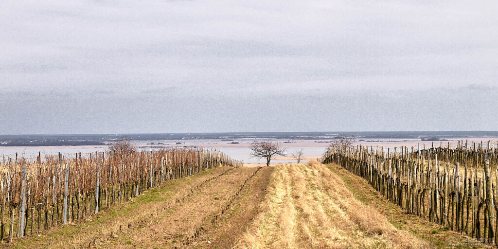 Mörbisch am Neusiedlersee