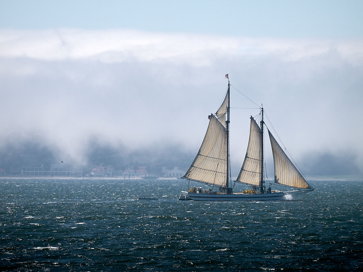 Sailing near Alcatraz Island