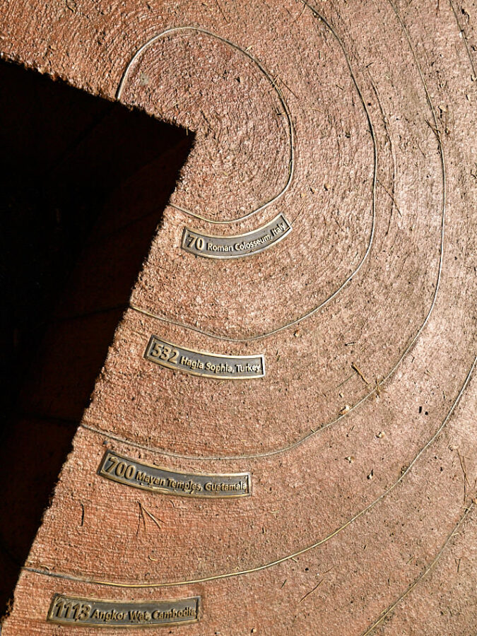 Giant Sequoias werden sehr alt.