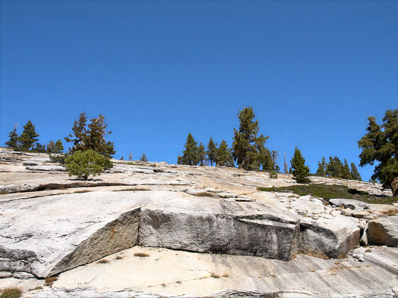 Olmsted Point im Yosemite National Park