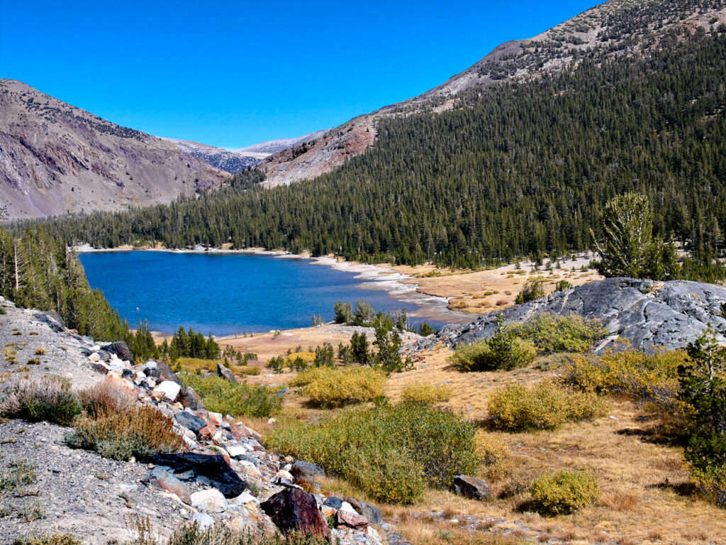 Tioga Lake