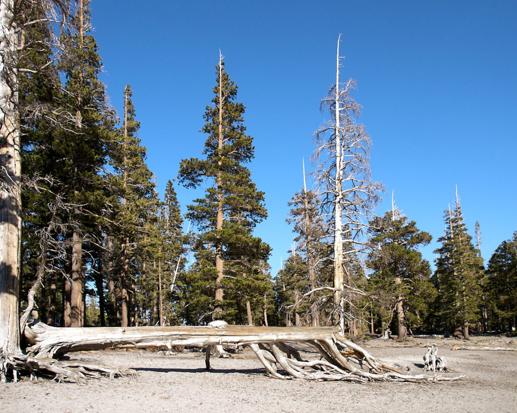 Horseshoe Lake