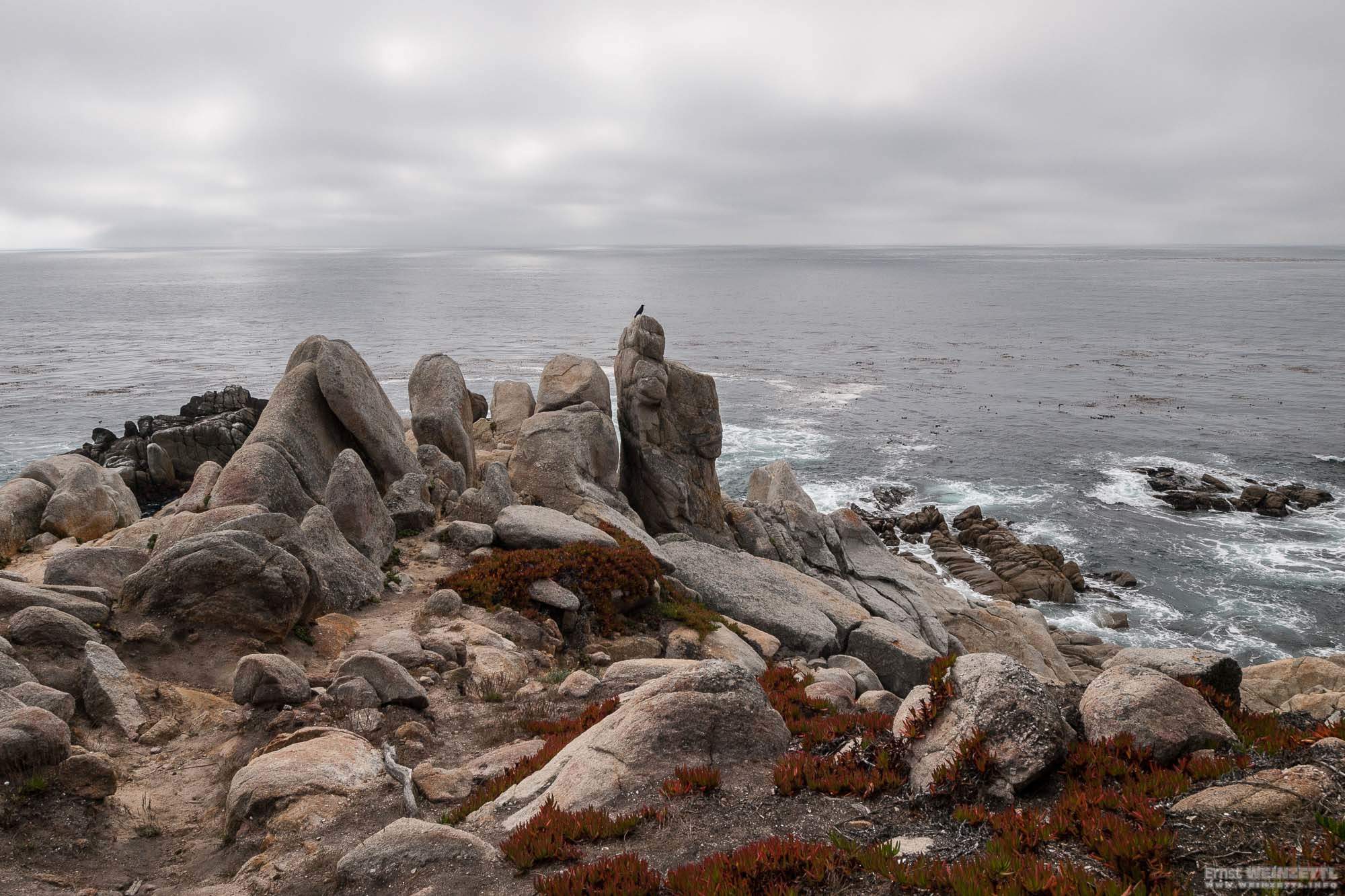 Pescadero Point