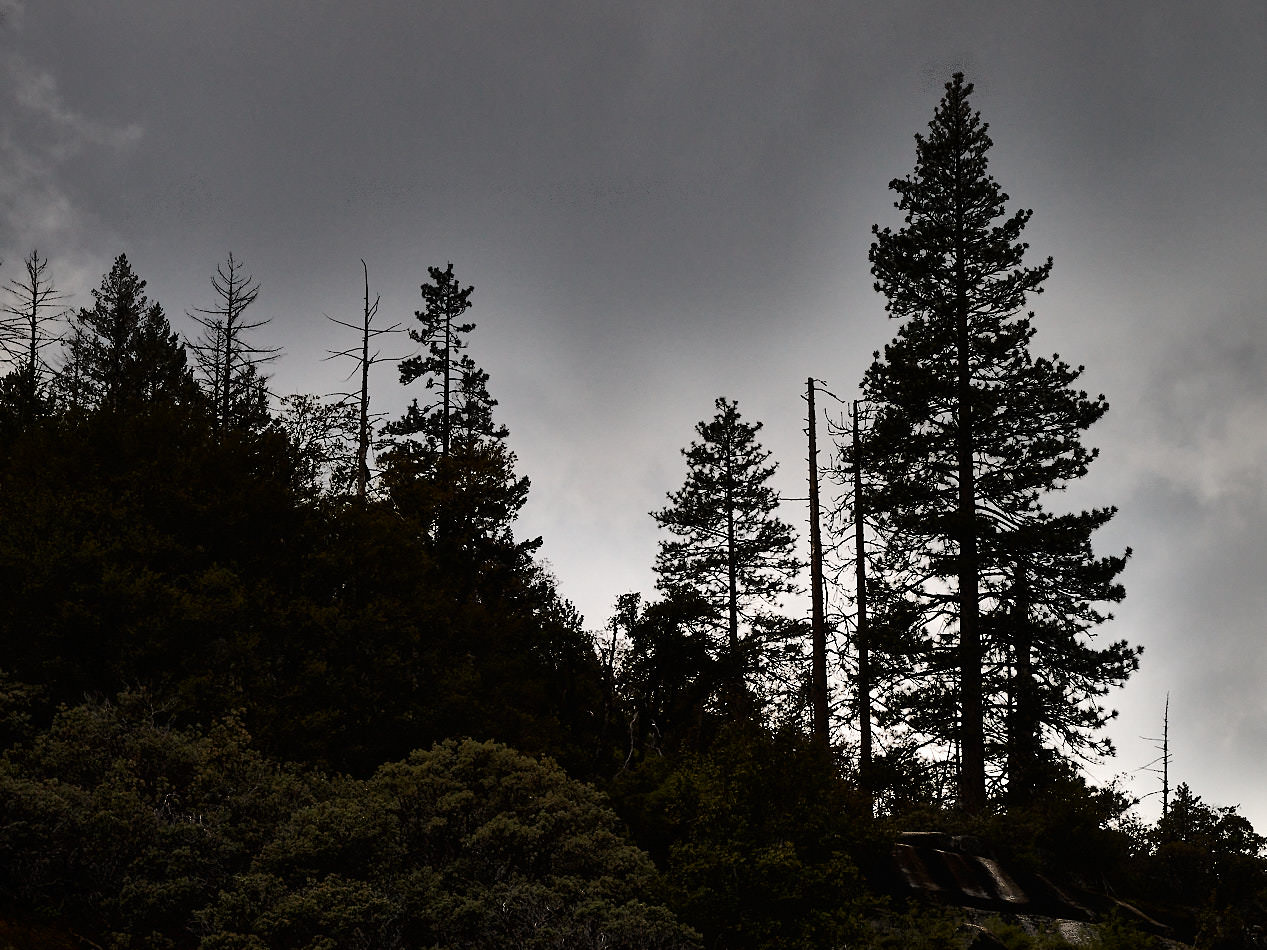 Gewitterwolken beim Wawona Tunnel View