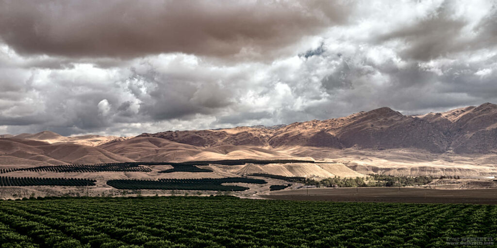Bakersfield