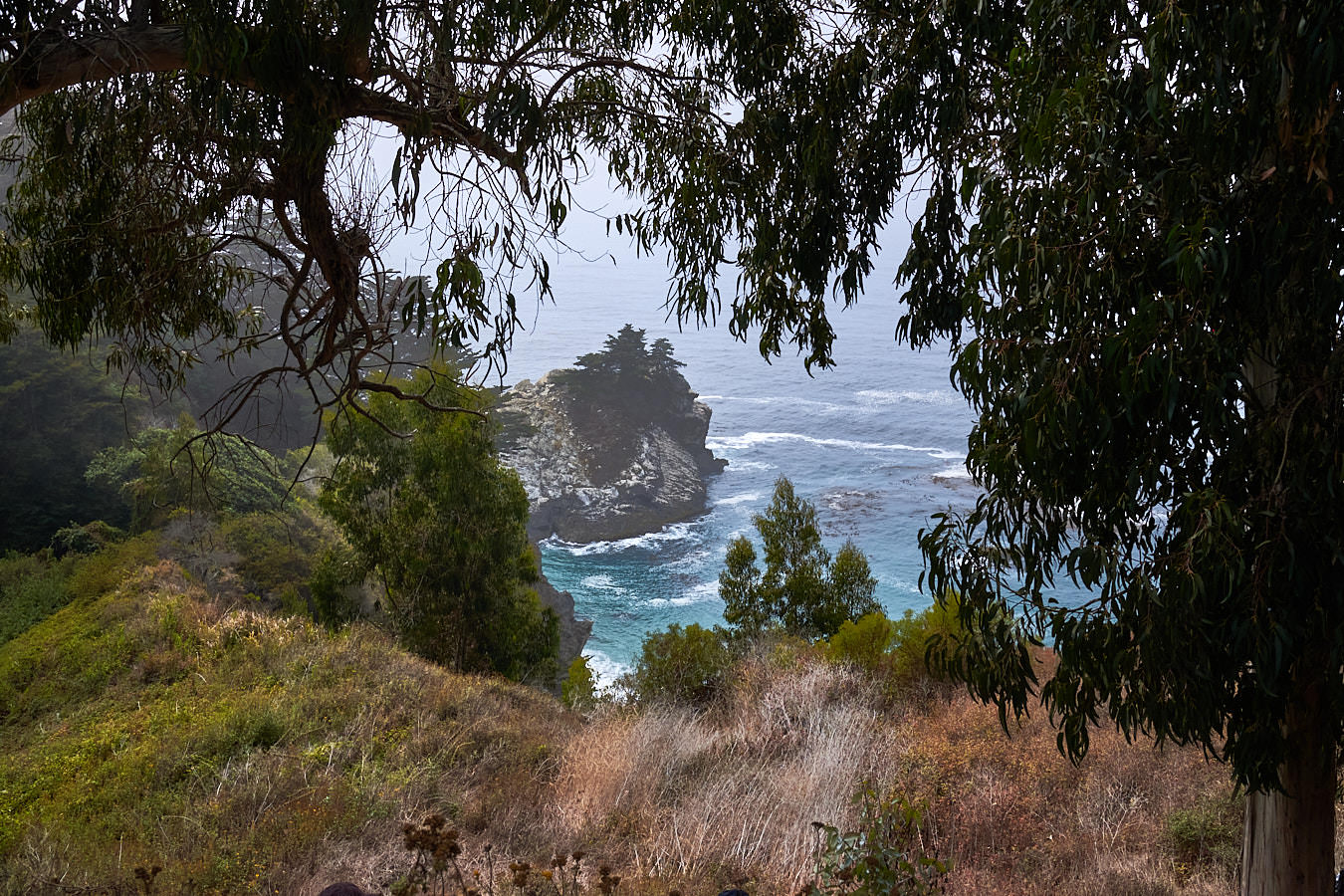 Das Auge kann sich kaum satt sehen.