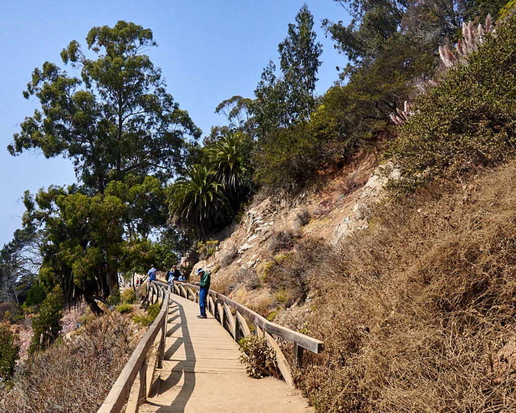 Der Weg zum Aussichtspunkt unter dem ehemaligen Waterfall House