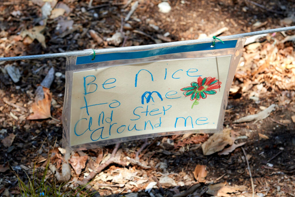 Kinderzeichnung im Pfeiffer Big Sur State Park