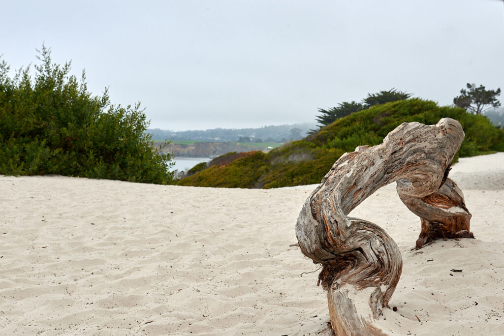 Am Strand von Carmel-by-the-Sea