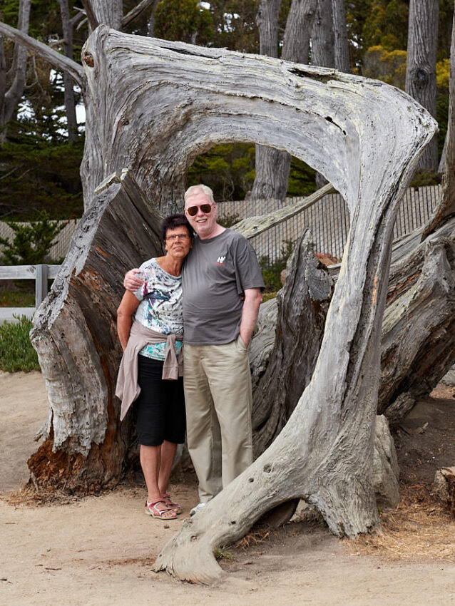 Der "echte" Ghost Tree
