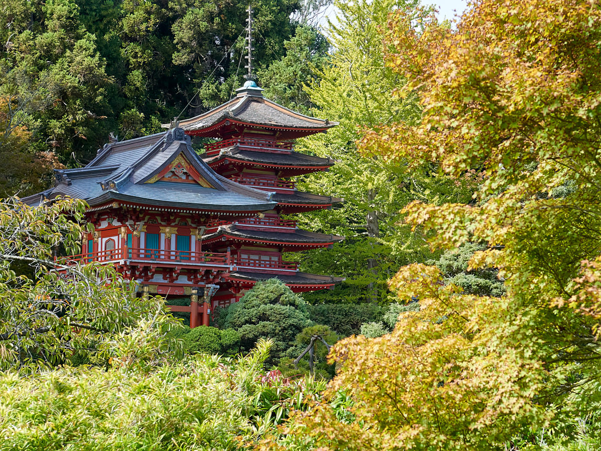 Das japanische Teehaus im Golden Gate Park