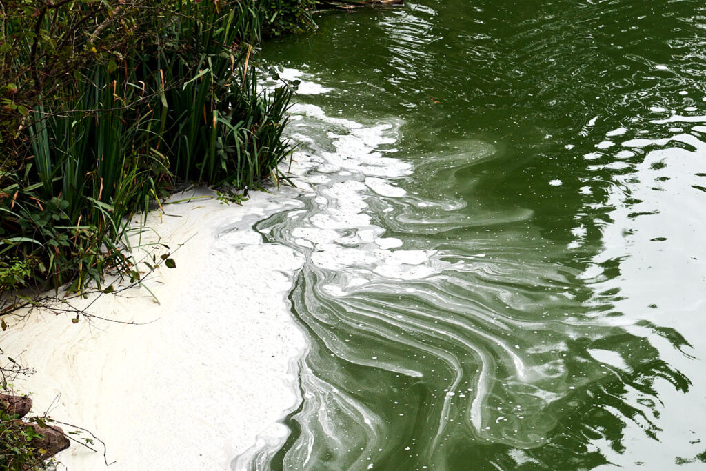 Abwässer bei der Brücke über den Stow Lake zum Strawberry Hill
