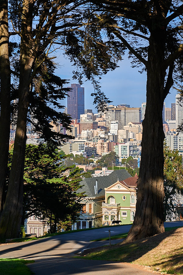 Alamo Square