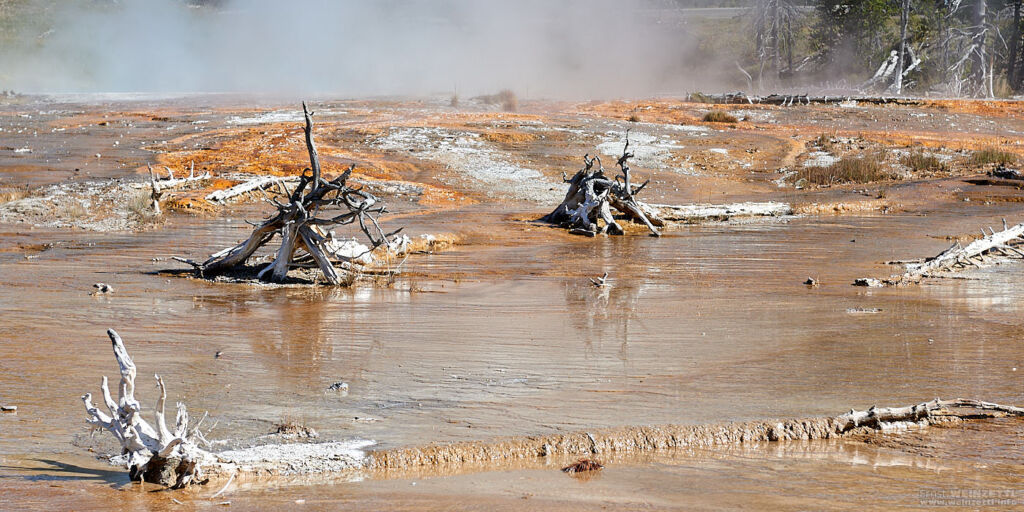 Fountain Paint Pot Trail, Yellowstone NP