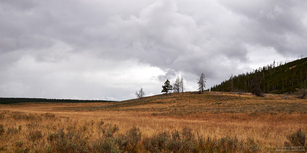 Yellowstone National Park