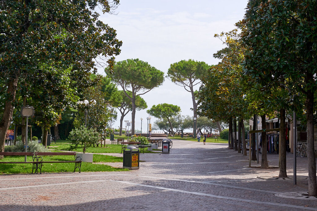 Viale Dante Alighieri