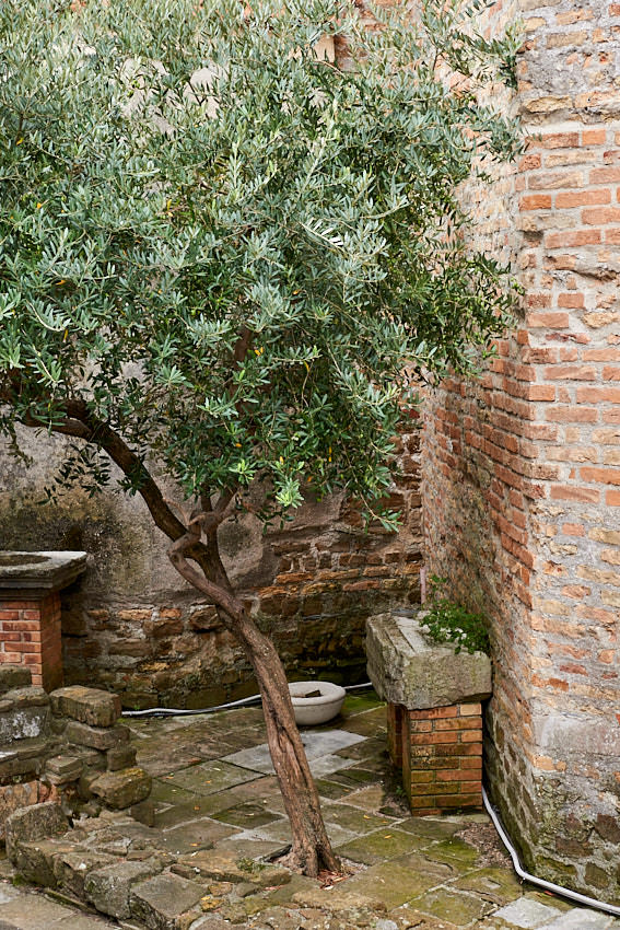 Lapidarium von Grado