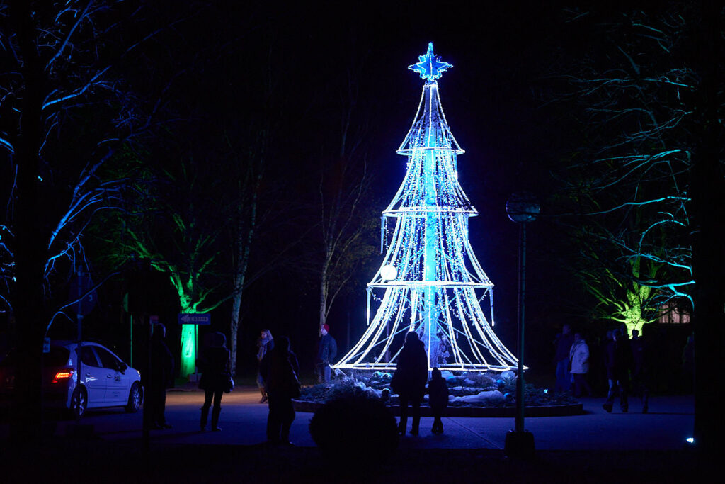 Eine Lichtinstallation in Form eines Weihnachtsbaums
