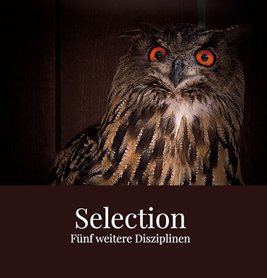 Aktuelle Bücher: Selection 2