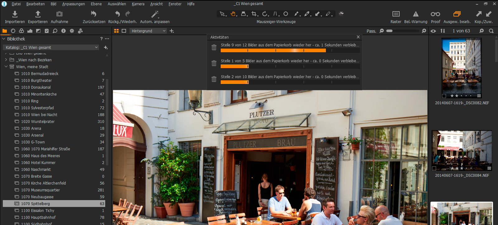 Capture One Aktivitäten Übersicht 001 Bewegen Zwischen Sammlungen