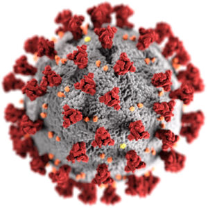 COVID-19 Virus