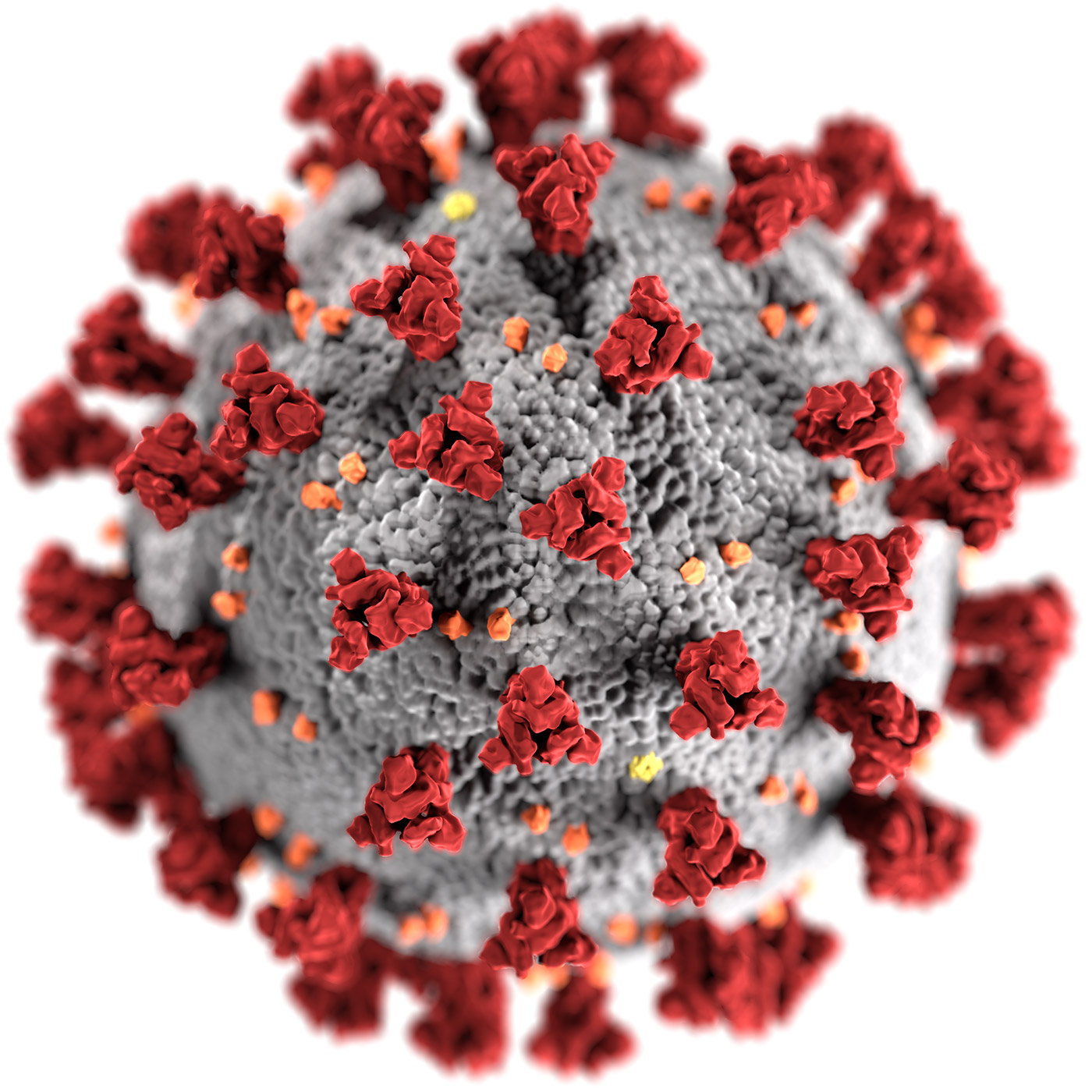 Corona COVID-19 Virus