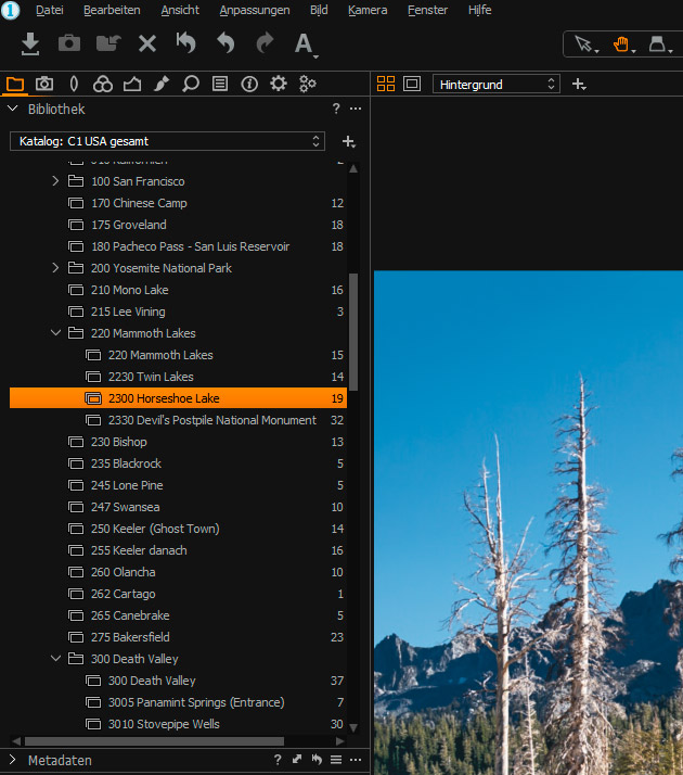 Capture One Sammlungen