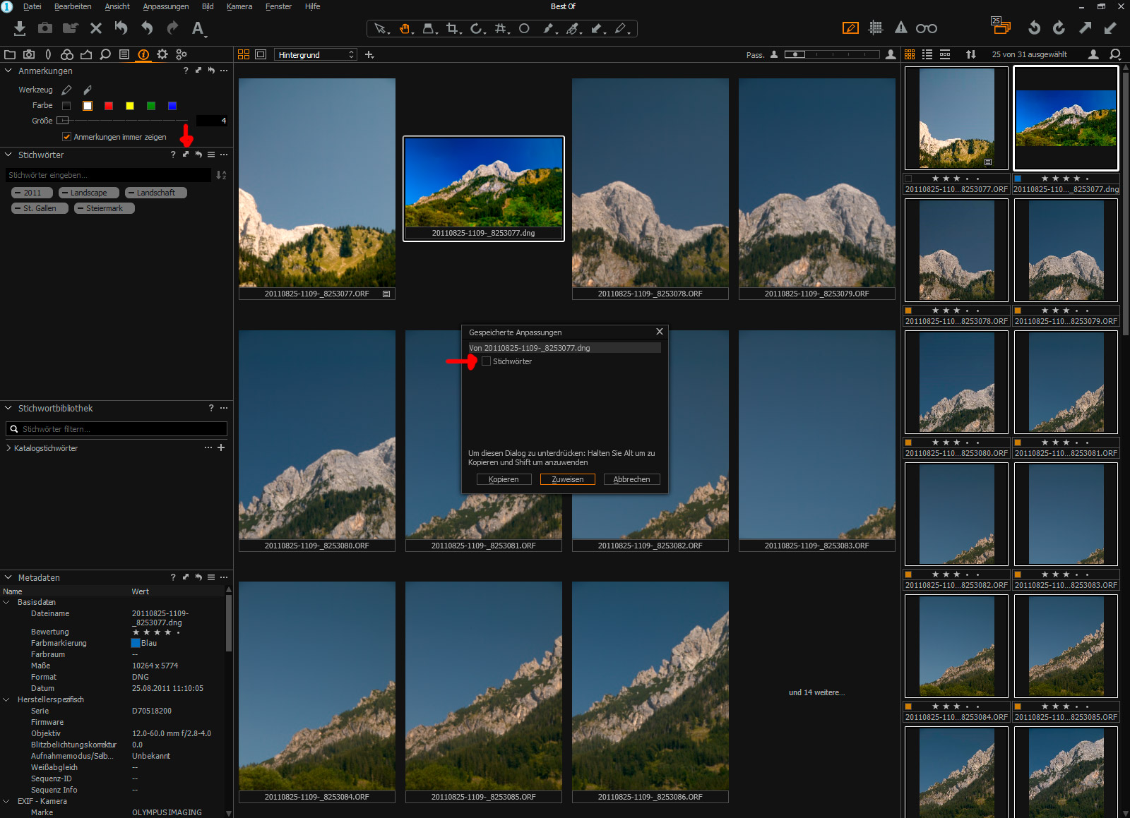 Capture One Stichwörter übertragen