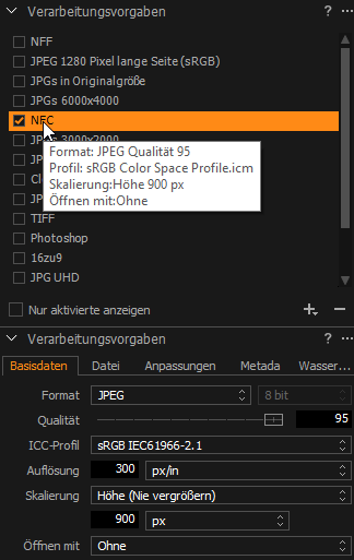 Capture One Zuschneiden, noch immer bei den Exporteinstellungen
