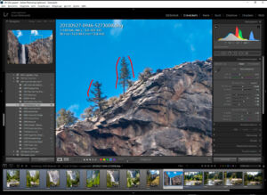 Blaue Ränder von Ästen gegen den Himmel können bei Lightroom nahezu beseitigt werden.